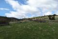 Property photo of 1 Oakley Lane Lachlan TAS 7140