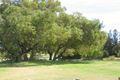 Property photo of 14 Ley Street Como WA 6152
