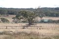 Property photo of 17 Stoney Creek Road Marulan NSW 2579
