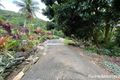 Property photo of 1293 Mossman-Daintree Road Rocky Point QLD 4873