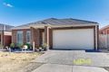 Property photo of 25 Kinglake Crescent Craigieburn VIC 3064