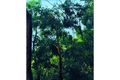 Property photo of 625 Esplanade Lota QLD 4179