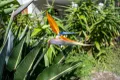 Property photo of 1/11 Miram Place Ocean Shores NSW 2483