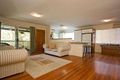 Property photo of 105 Olearia Street West Everton Hills QLD 4053