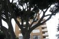 Property photo of 5/28-30 Edward Street Bondi NSW 2026
