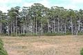 Property photo of 6 Mangana Drive Tugrah TAS 7310