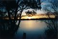 Property photo of 3 Callaghan Court Nagambie VIC 3608