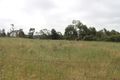 Property photo of 123 Wattle Road Millicent SA 5280
