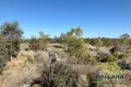 Property photo of 57 Clydesdale Drive Bonshaw VIC 3352