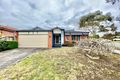 Property photo of 17 Nightingale Crescent Berwick VIC 3806