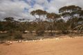 Property photo of 291 Boolgun Road Boolgun SA 5330