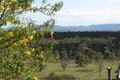 Property photo of 16 Mayne Street North Rothbury NSW 2335