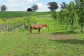 Property photo of 55 McDougal Road Neerim South VIC 3831