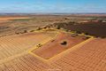 Property photo of 164 Thurlow Lane Red Cliffs VIC 3496