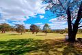 Property photo of 25 Pinnell Road Crows Nest QLD 4355