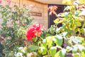 Property photo of 20 Swanson Way Secret Harbour WA 6173