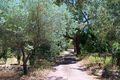 Property photo of 8 Wheelwright Road Lesmurdie WA 6076