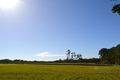 Property photo of 1120 Steve Irwin Way Glass House Mountains QLD 4518