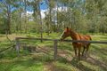 Property photo of 107-117 Palomino Road Tamborine QLD 4270