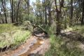 Property photo of 657 Downs Road Tutunup WA 6280