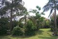 Property photo of 63 Willara Street Carseldine QLD 4034
