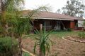 Property photo of 49 Blight Road Nelshaby SA 5540