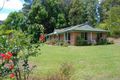 Property photo of 87 Bonnydoon Road Uki NSW 2484