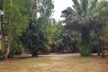 Property photo of 165-169 South Arm Drive Wonga Beach QLD 4873