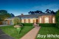 Property photo of 43 Inchcape Avenue Wantirna VIC 3152