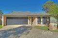 Property photo of 53 Lavender Street Springfield Lakes QLD 4300