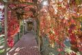 Property photo of 25 Hardings Road Wallington VIC 3222