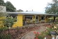 Property photo of 56 Johnston Street Ensay VIC 3895