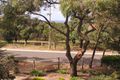 Property photo of 93 Harvey Street Anglesea VIC 3230
