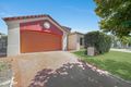 Property photo of 19 Hilas Circuit Sunnybank Hills QLD 4109