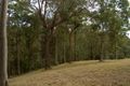 Property photo of 12 Arunta Drive Mount Nathan QLD 4211