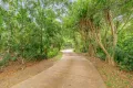 Property photo of 14 Wants Road Maroochy River QLD 4561