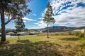 Property photo of 7 White Circuit Gloucester NSW 2422