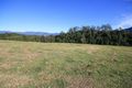 Property photo of 11 Tyalgum Ridge Road Tyalgum NSW 2484