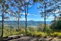 Property photo of 659 Moonabung Road Vacy NSW 2421