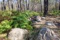 Property photo of 798 Yankees Gap Road Bemboka NSW 2550