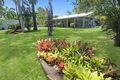 Property photo of 9 Gibraltar Road Rangewood QLD 4817