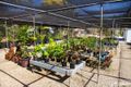 Property photo of 413 Oakey Flat Road Morayfield QLD 4506