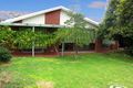 Property photo of 7 Trantalis Court Loxton SA 5333