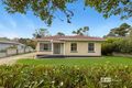 Property photo of 19 Lochiel Avenue Naracoorte SA 5271