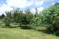 Property photo of 39 East Evelyn Road Millaa Millaa QLD 4886