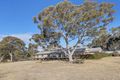 Property photo of 529 Carrick Road Carrick NSW 2580