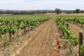Property photo of LOT 2 Ebenezer Road Ebenezer SA 5355