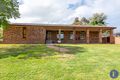 Property photo of 15 Normoyle Crescent Young NSW 2594