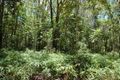 Property photo of 111 Thornton Peak Drive Forest Creek QLD 4873
