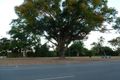 Property photo of 68 Fitzgerald Esplanade Innisfail QLD 4860